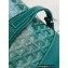 Goyard Cisalpin backpack Bag Green