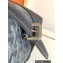 Goyard Cisalpin backpack Bag Gray