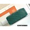 Goyard Boeing Travel 55 Bag Green