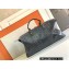 Goyard Boeing Travel 55 Bag Gray