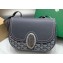 Goyard 233 bag Gray