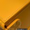 Goyard Watch Box Bag Yellow