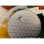 Goyard The Alto Hatbox Trunk Bag New Silver