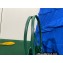 Goyard Hulot Print Anjou Reversible Mini Tote Bag Green