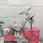 Dolce & Gabbana DG Heel 12cm Platform 1.5cm criss-cross straps sandals Silver with rhinestone 2023