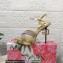 Dolce & Gabbana DG Heel 12cm Platform 1.5cm criss-cross straps sandals Gold with rhinestone 2023