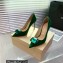 Gianvito Rossi Heel 10.5cm JAIPUR Pumps Suede Green with maxi gemstone 2023