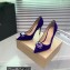 Gianvito Rossi Heel 10.5cm JAIPUR Pumps Suede Purple with maxi gemstone 2023
