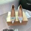 Gianvito Rossi Heel 10.5cm JAIPUR Pumps Silver with maxi gemstone 2023
