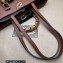 Gucci leather Diana medium tote bag 750394 Brown 2023