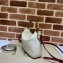 Gucci leather Diana small shoulder bag 746251 White 2023