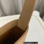Saint Laurent le 5 à 7 mini bag in vegetable-tanned leather 710318 Apricot