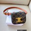 Celine BELT BAG TRIOMPHE BELT in in TRIOMPHE CANVAS AND CALFSKIN 2023