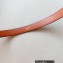 Celine BELT BAG TRIOMPHE BELT in in TRIOMPHE CANVAS AND CALFSKIN 2023