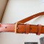 Celine BELT BAG TRIOMPHE BELT in in TRIOMPHE CANVAS AND CALFSKIN 2023