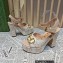 Gucci Heel 12cm Platform 3.5cm Horsebit sandals 745955 Nude 2023