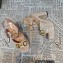 Gucci Heel 12cm Platform 3.5cm Horsebit sandals 745955 Nude 2023