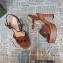 Gucci Heel 12cm Platform 3.5cm Interlocking G sandals 730022 Brown 2023