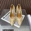Aquazzura Heel 10.5cm The Spy Pumps MESH/SUEDE LEATHER Beige 2023