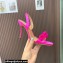 Aquazzura Heel 10.5cm Chain Of Love Sandals Fuchsia 2023