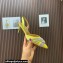 Aquazzura Heel 6.5cm Gatsby Sling Satin Slingback Yellow 2023