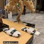 Balenciaga Teddy Mules White in fake fur and black contrasted Allover Logo 2023