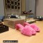 Balenciaga Heel 6.5cm feather-detail mules sandals Pink 2023