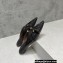 Bottega Veneta Patent leather Bunnie Flats Mules Black 2023