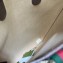 Gucci Ophidia GG small tote bag 744544 2023