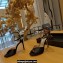 Jimmy Choo Heel 10cm Sacora Sandals Satin Black 2023