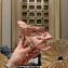 Jimmy Choo Heel 8.5cm Flaca Satin Sandal Nude Pink with Bow 2023