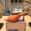 Jimmy Choo Heel 8.5cm Maryanne Mules Satin Orange 2023