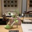 Jimmy Choo Heel 10cm Sacora Sandals Satin Light Green 2023