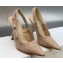 Dior Heel 9.5cm J'Adior Slingback Pumps Nude in Embroidered with Camel-Colored Saint-Gall Motif 2023
