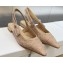 Dior J'Adior Slingback Ballerina Flats Nude in Embroidered with Camel-Colored Saint-Gall Motif 2023