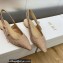 Dior J'Adior Slingback Ballerina Flats Nude in Embroidered with Camel-Colored Saint-Gall Motif 2023