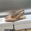Dior J'Adior Slingback Ballerina Flats Nude in Embroidered with Camel-Colored Saint-Gall Motif 2023