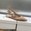 Dior J'Adior Slingback Ballerina Flats Nude in Embroidered with Camel-Colored Saint-Gall Motif 2023