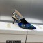 Dior Heel 6.5cm J'Adior Slingback Pumps in Cobalt Blue Multicolor Embroidered Cotton with Toile de Jouy Voyage Motif 2023