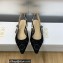 Dior J'Adior Slingback Ballerina Flats in Black Embroidered with Camel-Colored Saint-Gall Motif 2023