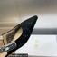 Dior J'Adior Slingback Ballerina Flats in Black Embroidered with Camel-Colored Saint-Gall Motif 2023
