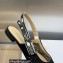 Dior J'Adior Slingback Ballerina Flats in Black Embroidered with Camel-Colored Saint-Gall Motif 2023