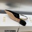 Dior J'Adior Slingback Ballerina Flats in Black Embroidered with Camel-Colored Saint-Gall Motif 2023