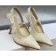 Dior Heel 9.5cm J'Adior Slingback Pumps in White Embroidered with Camel-Colored Saint-Gall Motif 2023