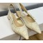 Dior J'Adior Slingback Ballerina Flats in White Embroidered with Camel-Colored Saint-Gall Motif 2023