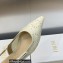 Dior J'Adior Slingback Ballerina Flats in White Embroidered with Camel-Colored Saint-Gall Motif 2023