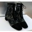 Dior Heel 3cm Naughtily-D Ankle Boots in Black Transparent Mesh and Suede Embroidered with Dior Roses Motif 2023