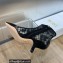 Dior Heel 6.5 cm Capture-D Ankle Boots in Black Transparent Mesh and Suede Embroidered with Dior Roses Motif 2023