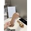 Celine TRIOMPHE Mules In Calfskin Gold 2023