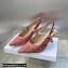 Dior Heel 6.5cm J'Adior Slingback Pumps in Pink and Gray Embroidered Cotton with Toile de Jouy Sauvage Motif 2023
